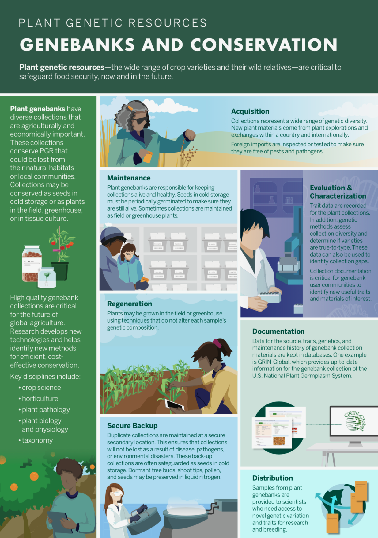 GeneBanks InfoGraphic